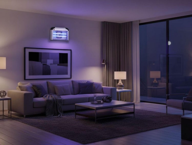 Elektrischer Insektenvernichter an der Wand in einem modern eingerichteten, organisierten Wohnzimmer bei Nacht mit Sofa und Couchtisch.