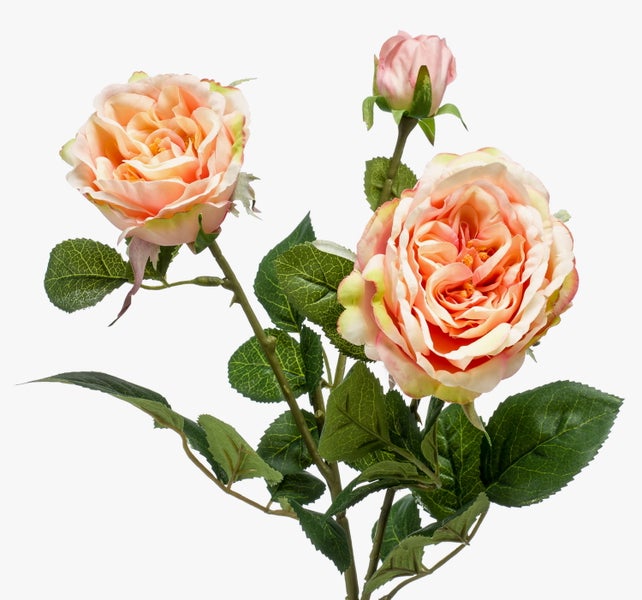 Künstlicher Rosenzweig mit zwei pfirsichfarbenen Blüten und einer Knospe.