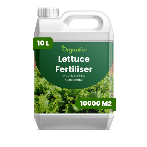 Organifer Bio-Salatdünger Konzentrat, 10 Liter Kanister für bis zu 10000 Quadratmeter.