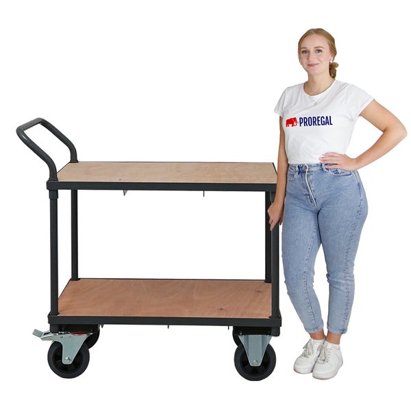 PROREGAL Profi Tischwagen mit 2 Etagen HxBxT 95 x 50 x 97 cm Traglast 400 kg Grau