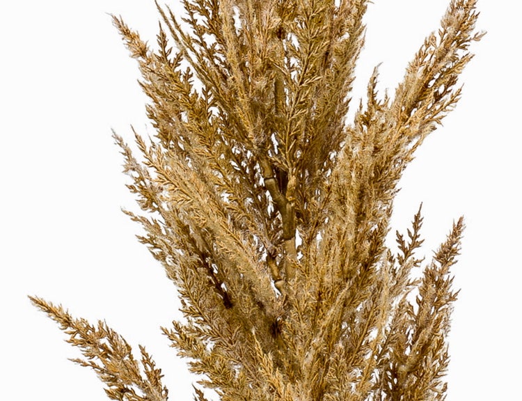 Grüne künstliche Pflanzenwand mit Farnen und Moos auf einem quadratischen Paneel.