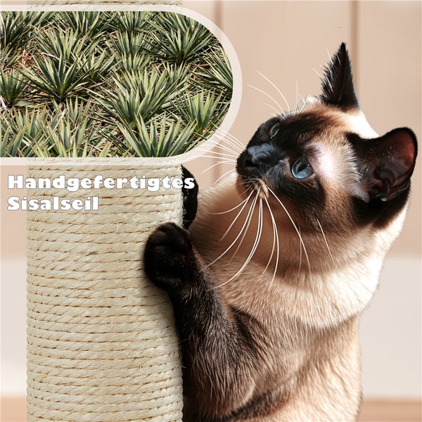 Katze kratzt an Kratzbaum mit Sisalseil