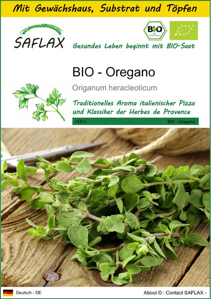 SAFLAX Anzucht Set - BIO - Oregano - Origanum heracleoticum - 1500 Samen - Mit Mini-Gewächshaus, Anzuchtsubstrat und 2 Töpfen