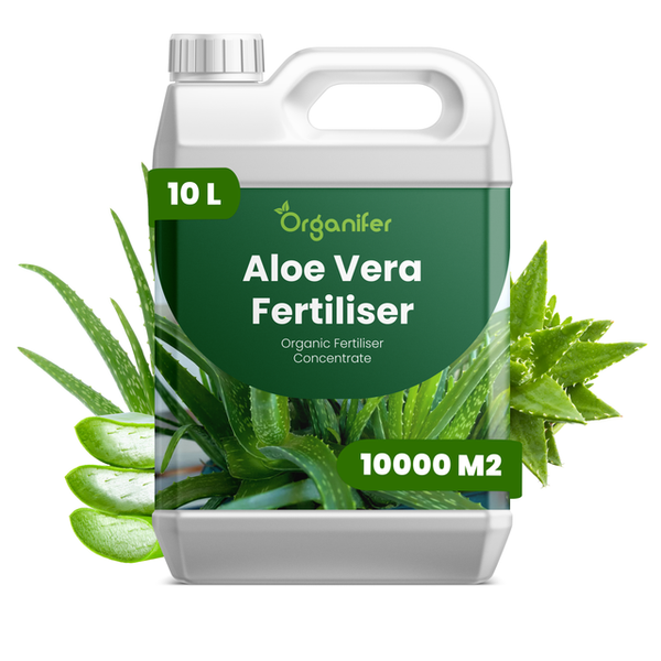 Organifer Aloe Vera Dünger Konzentrat organischer Flüssigdünger im 10 Liter Kanister für bis zu 10000 Quadratmeter Fläche.