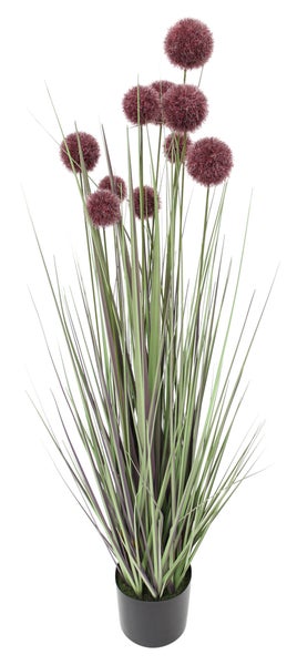 FRANK FLECHTWAREN | Topfpflanze Allium, KUNSTSTOFF, H: 90 cm