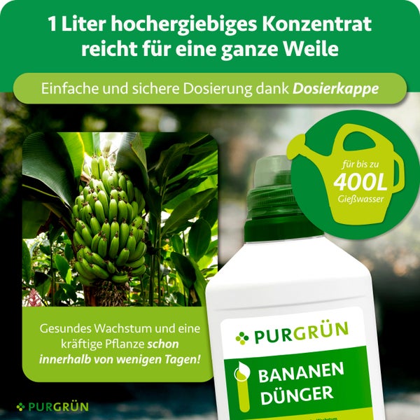 Purgrün Bananendünger Konzentrat 1 Liter für bis zu 400 Liter Gießwasser, inklusive Dosierkappe für gesundes Wachstum und kräftige Pflanzen.