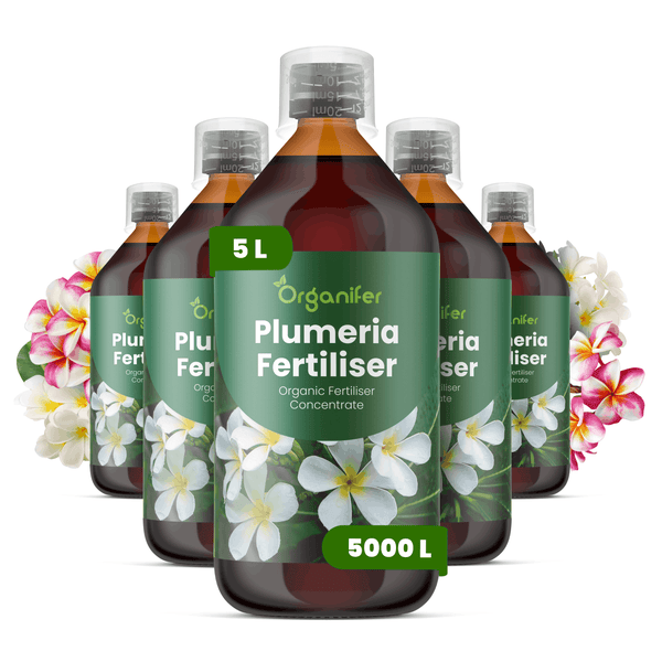 Fünf Flaschen Organifer Plumeria-Dünger, organisches Konzentrat, 5 Liter ergeben 5000 Liter Gießwasser.