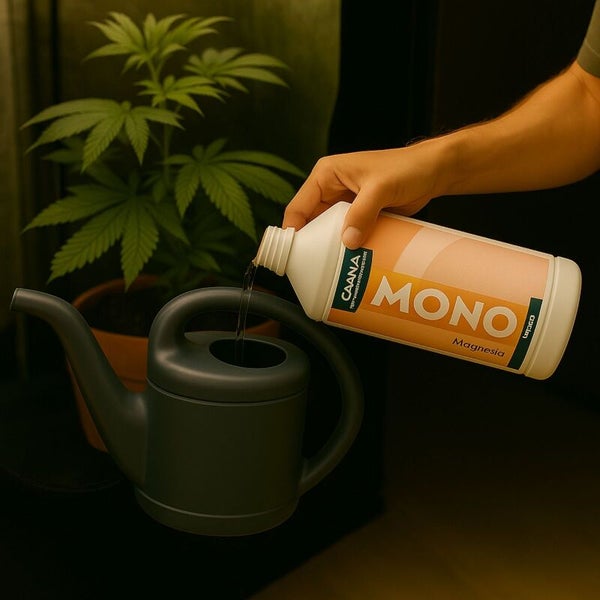 Eine Hand gießt Caana Mono Magnesia Pflanzendünger aus der Flasche in eine Gießkanne neben einer Topfpflanze.