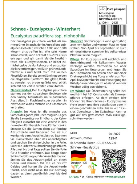 SAFLAX  - Schnee - Eucalyptus - Eucalyptus pauciflora ssp. niphophila - 250 Samen - Mit keimfreiem Anzuchtsubstrat