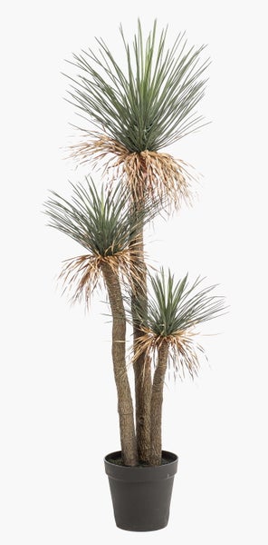 Yucca rostrata Kunstpflanze im schwarzen Topf mit drei Stämmen und spitzen Blättern.