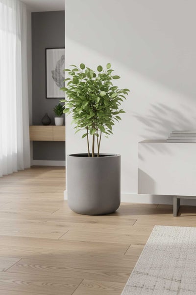 Grauer runder Pflanztopf mit grüner Zimmerpflanze in einem hellen, modern eingerichteten Wohnzimmer mit hellem Holzboden.