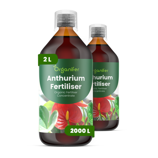 Organifer Anthurium Dünger, organisches Düngerkonzentrat, 2 Liter Flasche