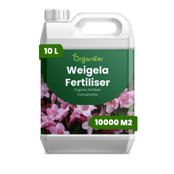 Organifer Weigela Dünger, 10 Liter organisches Düngerkonzentrat für 10000 Quadratmeter, flüssiger Pflanzendünger im Kanister.