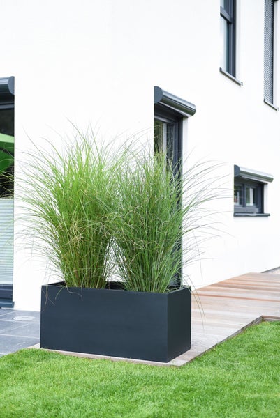 Großer schwarzer rechteckiger Pflanzkübel aus Metall mit hohem Ziergras auf einer Holzterrasse vor einer weißen Hauswand.