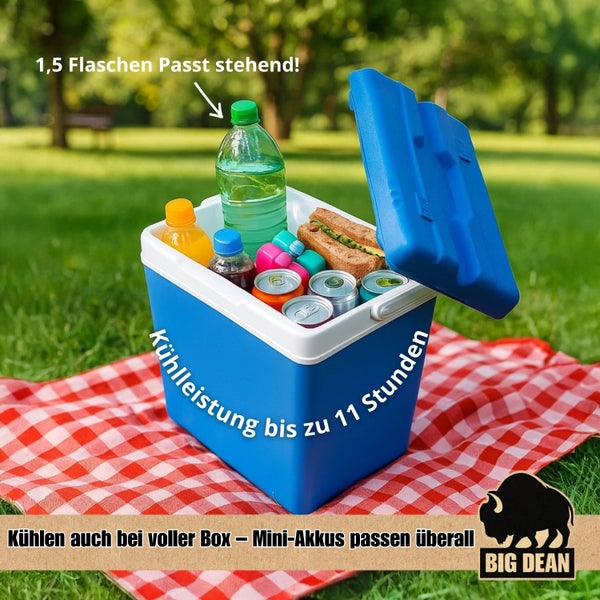 Gefüllte, blaue Kühlbox auf einer rot-weiß karierten Picknickdecke im Grünen