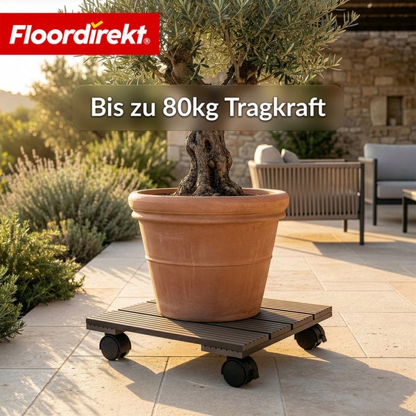 Pflanzenroller mit Olivenbaum im Topf für den Außenbereich, Tragkraft bis zu 80 kg