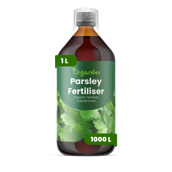 Organischer Petersiliendünger-Konzentrat von Organifer, 1 Liter Flasche, für 1000 Liter Düngemittel.