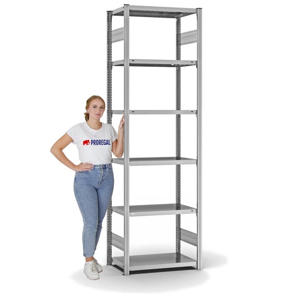 PROREGAL Fachbodenregal Stecksystem T-Profil Light-Duty Grundregal HxBxT 250 x 75 x 50 cm 6 Ebenen Fachlast 140 kg Beidseitig Nutzbar Verzinkt