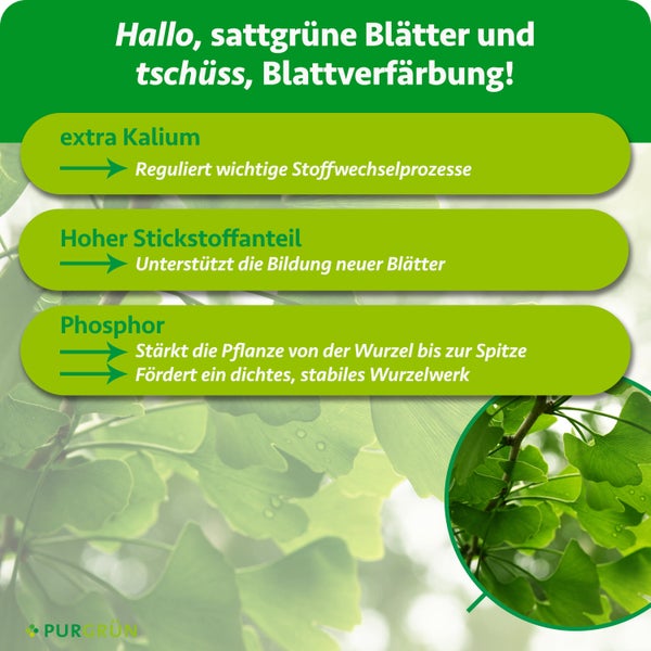 Infografik zu Purgrün Pflanzendünger: Kalium reguliert Stoffwechsel, Stickstoff hilft bei Blattbildung, Phosphor stärkt Wurzeln. Purgrün Logo.