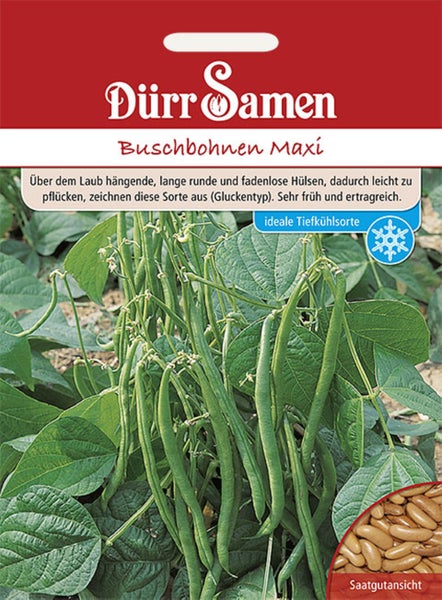 Samentüte Buschbohnen Maxi von Dürr Samen, Abbildung der grünen Bohnen an der Pflanze und Detailansicht des Saatguts.