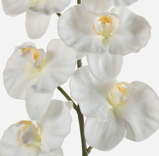 Nahaufnahme des braunen Stamms einer künstlichen Pflanze mit grünen Blättern