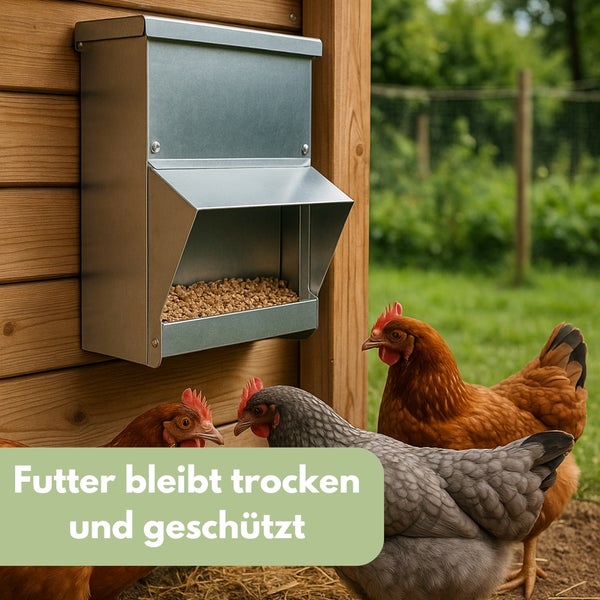 Hühner fressen aus einem montierten Futterspender aus Metall