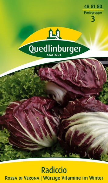 Samenpackung für Radicchio Rossa di Verona von Quedlinburger Saatgut mit Abbildung von erntebereitem Radicchio.