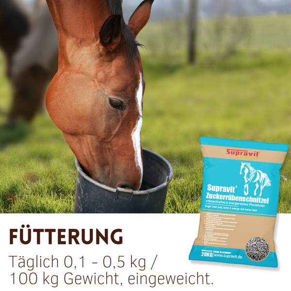 Pferd frisst aus Eimer neben einer Packung Supravit Zuckerrübenschnitzel Pferdefutter.
