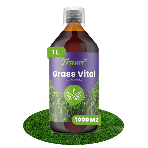 Frassor Grass Vital Konzentrat, 1 Liter Flasche, ausreichend für 1000 Quadratmeter Rasenpflege.