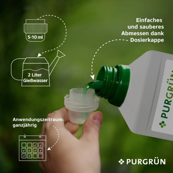 Purgrün Dattelpalme-Dünger 1 Liter