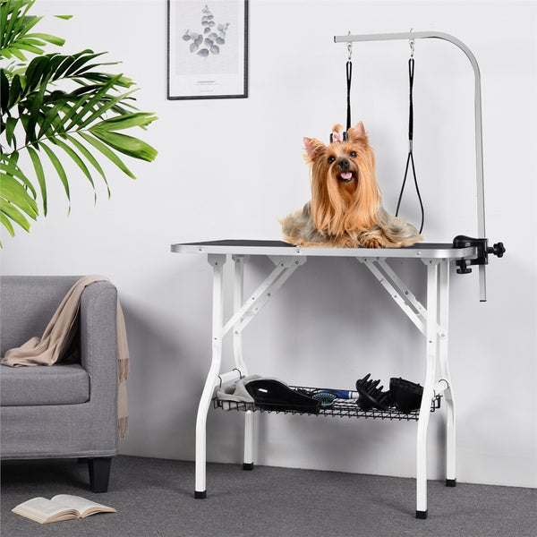 Hundetisch mit Galgen und Yorkshire Terrier