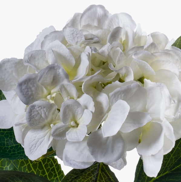 Künstliche Hortensie in Weiß, dekorative Kunstblume für Innenräume mit realistischen Blütenblättern und grünen Blättern.