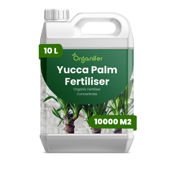 Organifer Yucca-Palmen-Dünger, organisches Düngerkonzentrat, 10 Liter Kanister für 10000 Quadratmeter.