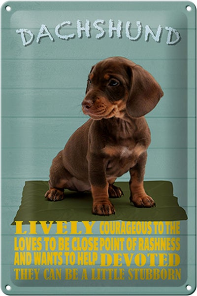 Blechschild Spruch 20x30cm Dachshund Hund lively devoted