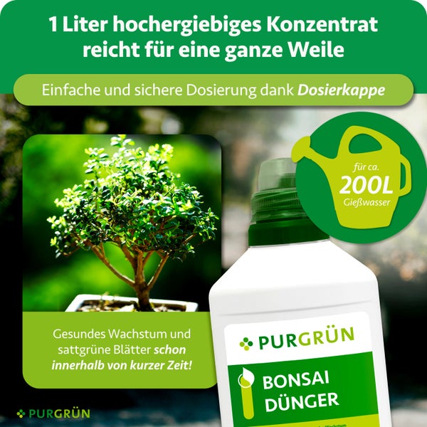 Purgrün Bonsai Dünger Konzentrat 1 Liter mit Dosierkappe für circa 200 Liter Gießwasser, neben einem kleinen Bonsai Baum in einem Topf.