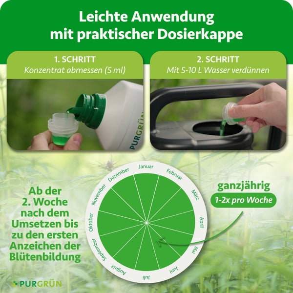 Infografik zur Anwendung von Purgrün Flüssigdünger: 5 Milliliter abmessen und mit 5 bis 10 Liter Wasser verdünnen. Purgrün Logo.