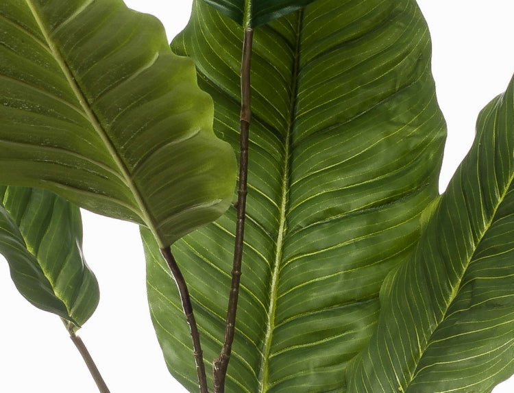Detailaufnahme einer Kunstpflanze Gummibaum mit großen dunkelgrünen Blättern und braunem Stamm.