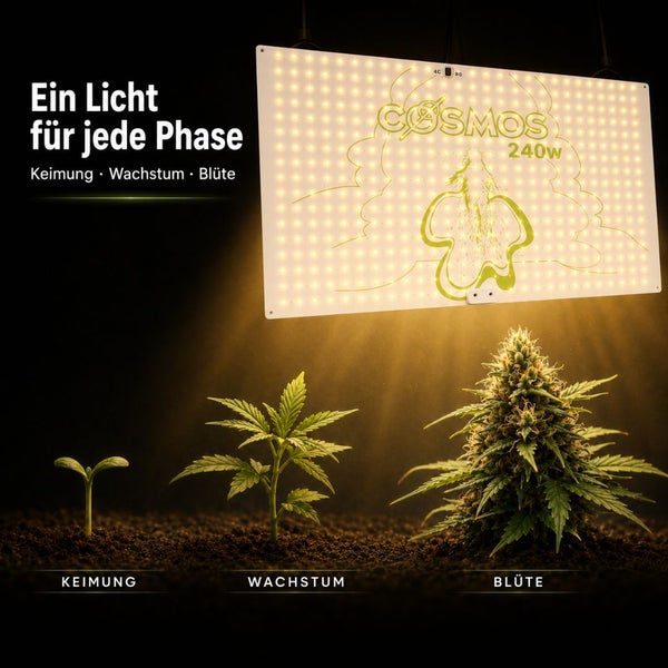 COSMOS 240 Watt Pflanzenlampe über Pflanzen in drei Entwicklungsphasen: Keimung, Wachstum und Blüte. COSMOS Logo.