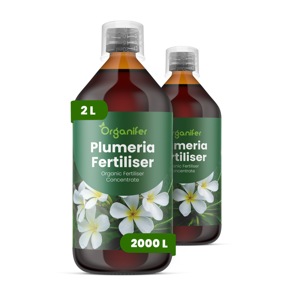 Organifer Plumeria Dünger, organisches Flüssigdünger-Konzentrat, 2 Liter Flasche mit Messkappe für circa 2000 Liter Gießwasser.