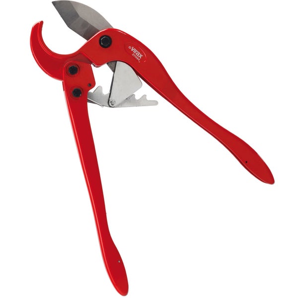 Nahaufnahme eines Rhododendronstrauchs mit hellen Blüten und blau blühenden Pflanzen