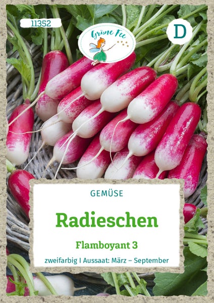 Radieschen Flamboyant 3 von Grüne Fee, zweifarbige, längliche Radieschen, Aussaat März bis September. Grüne Fee Logo.