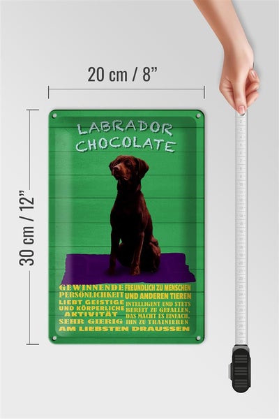 Blechschild Spruch 20x30cm Labrador Chocolate Hund