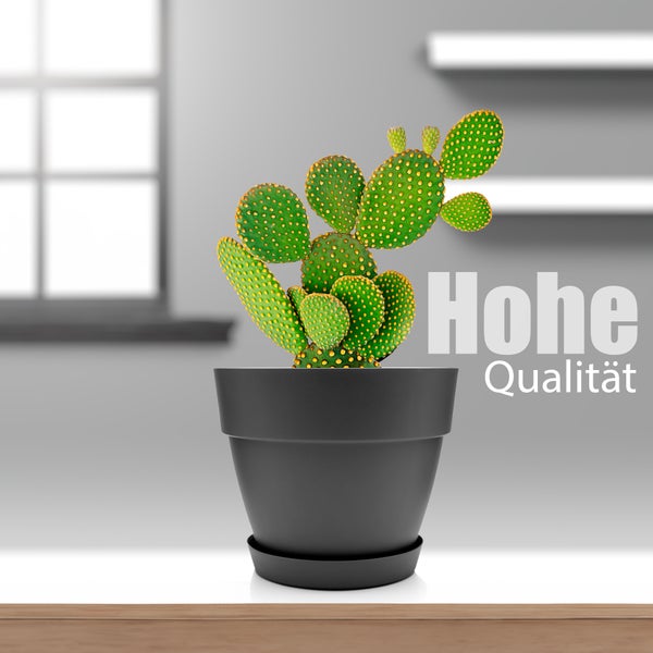 BigDean 3 Stück Blumentopf mit Untersetzer rund ø30 cm in Anthrazit – Übertopf innen + außen geeignet – aus bruchsicherem Kunststoff & Made in Europe