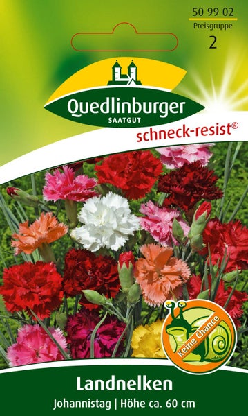 Samentüte mit Quedlinburger Saatgut Logo, Landnelken Johannistag, schneckenresistent, Höhe circa 60 Zentimeter.