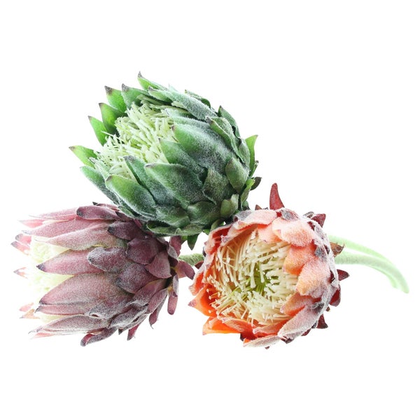 FRANK FLECHTWAREN | Blume Protea, 3er Set, 8 x 8 x 62 cm, KUNSTSTOFF