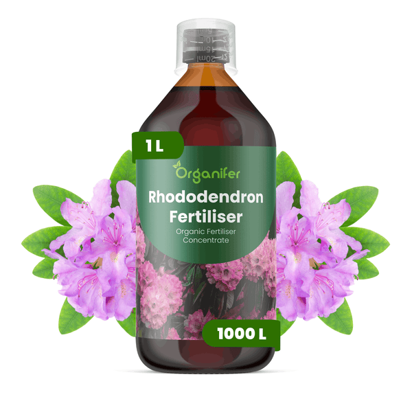 Organifer Rhododendron-Dünger, 1 Liter Flasche, organisches Düngerkonzentrat mit Messbecher.