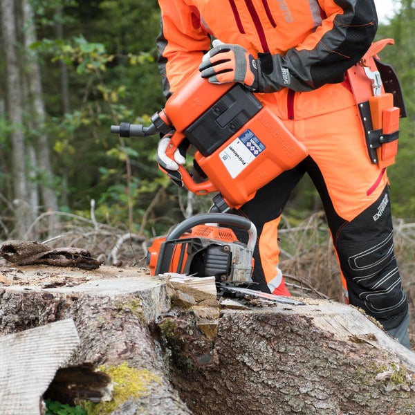 Person mit Motorsäge und Kraftstoffkanister neben einem Baumstumpf