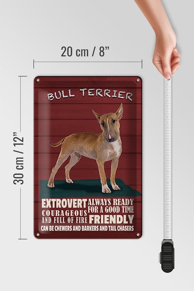 Blechschild Spruch 20x30cm Bullterrier Hund always ready