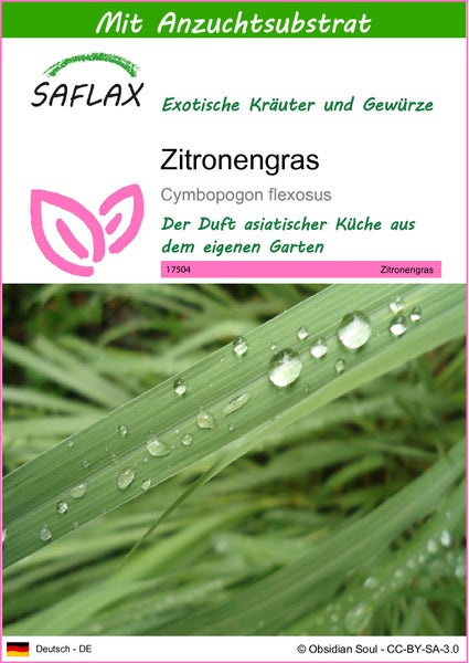 SAFLAX  - Zitronengras - Cymbopogon flexosus - 50 Samen - Mit keimfreiem Anzuchtsubstrat