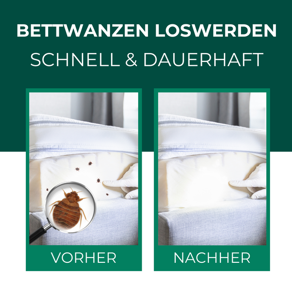 Silberkraft Bettwanzenspray 500ml, hält Kissen und  Matratzen frei von Bettwanzen, bietet zuverlässig Schutz vor Wanzenbefall in deinem Bett